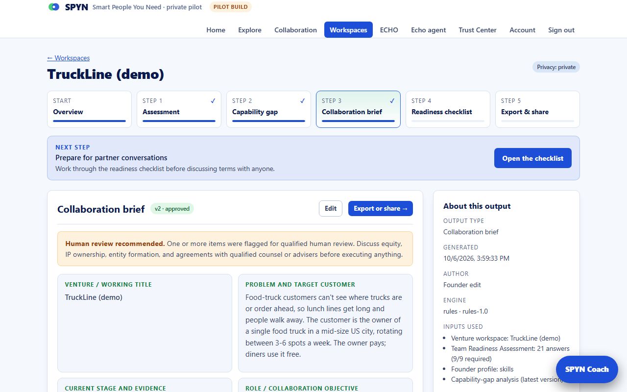 Your Collaboration Brief: SPYN screen with a fictional example